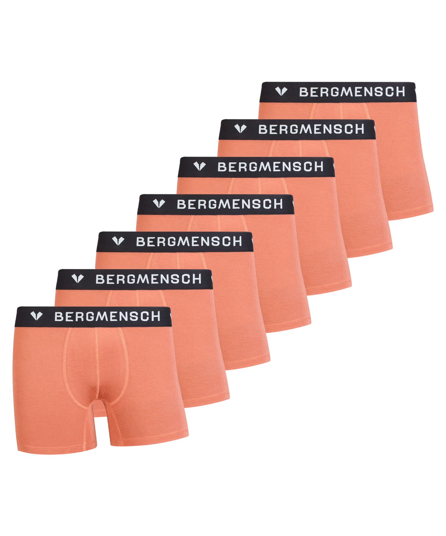 Vorschaubild 10